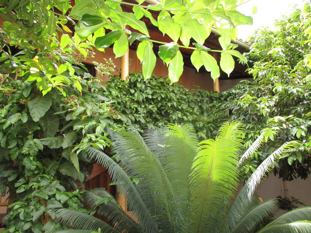Pousada Casa de Nomades Vale do Capão Exterior foto